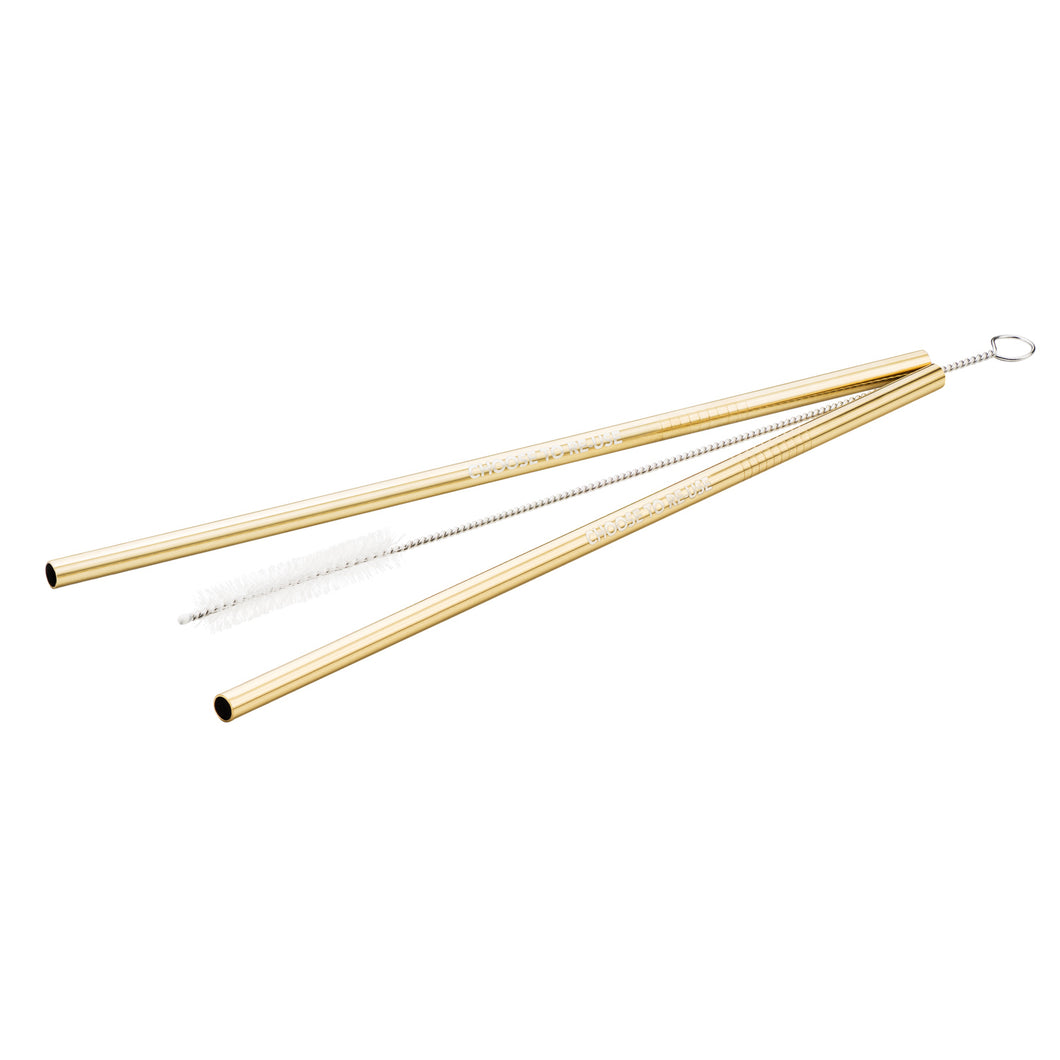 Reusable Straws: 2pk with cleaning brush: Gold
